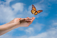Reiki Healer and Counsellor in Dorking Surrey UK