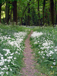 Earth Connections in Dorking Surrey